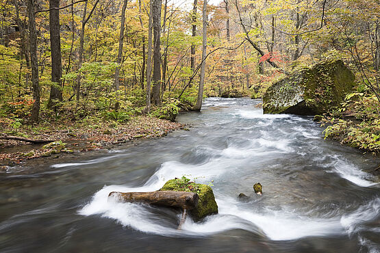 Analyse de l’eau de surface : spécialistes de WESSLING pendant un prélèvement