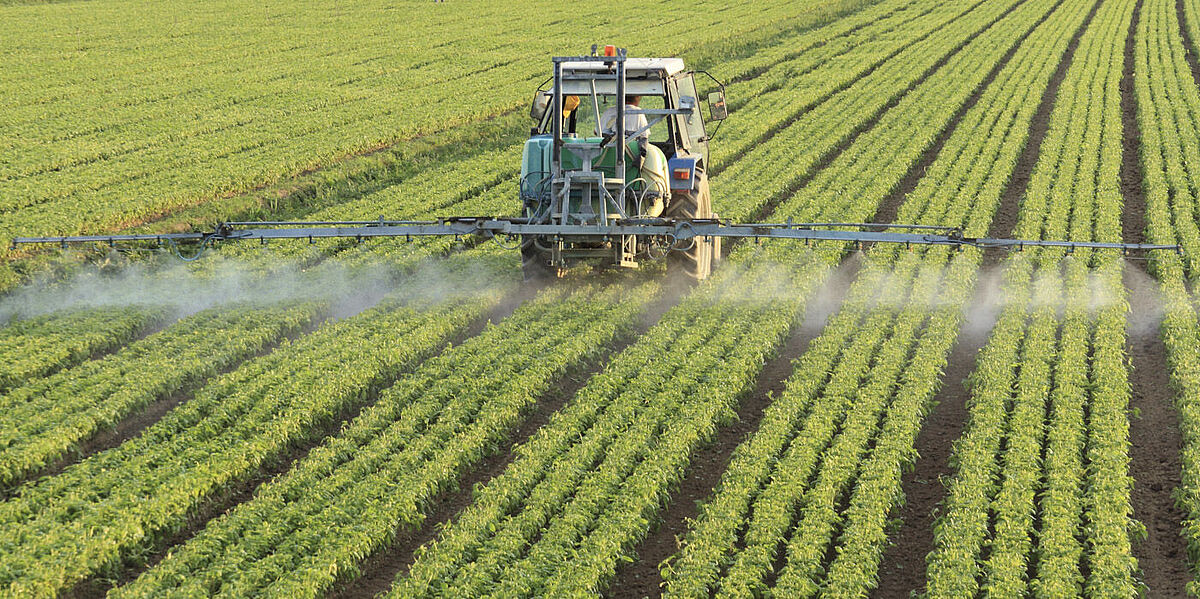 Pesticide analysis in food