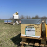 La ruche WESSLING France au coeur de la région Rhône-Alpes