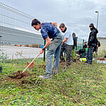 Digging holes for the plants