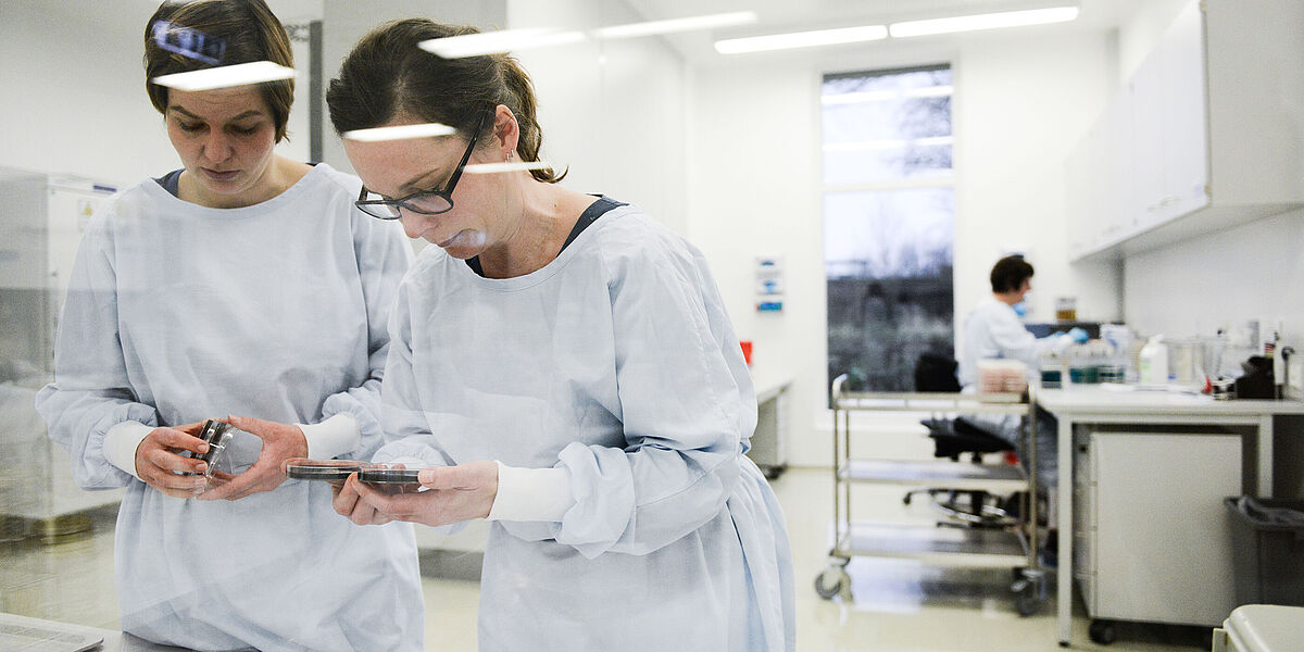 Microbiological laboratory analysis 