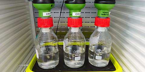 Biodegradability test according to OECD method 301F