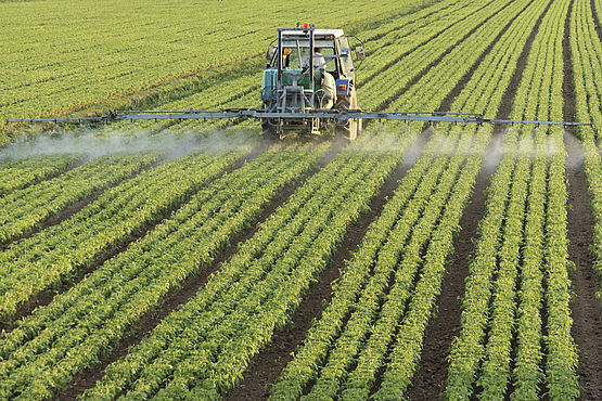 Analyse des pesticides dans les aliments