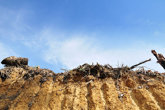 Land recycling as part of site management