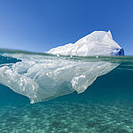 plastic bag in sea