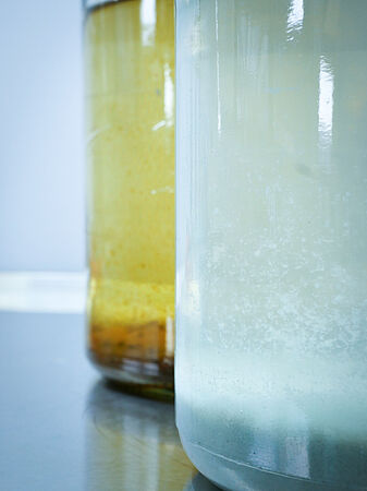 Untreated environmental samples: wastewater (background) and process water from a paper mill (foreground)